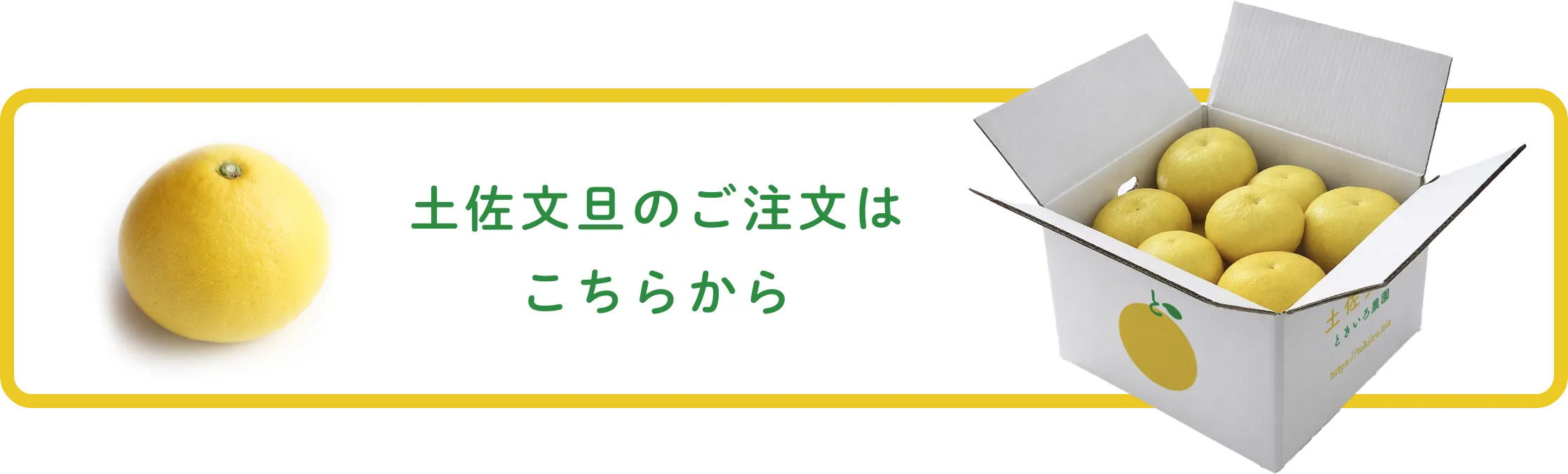 土佐文旦のご注文はこちらから